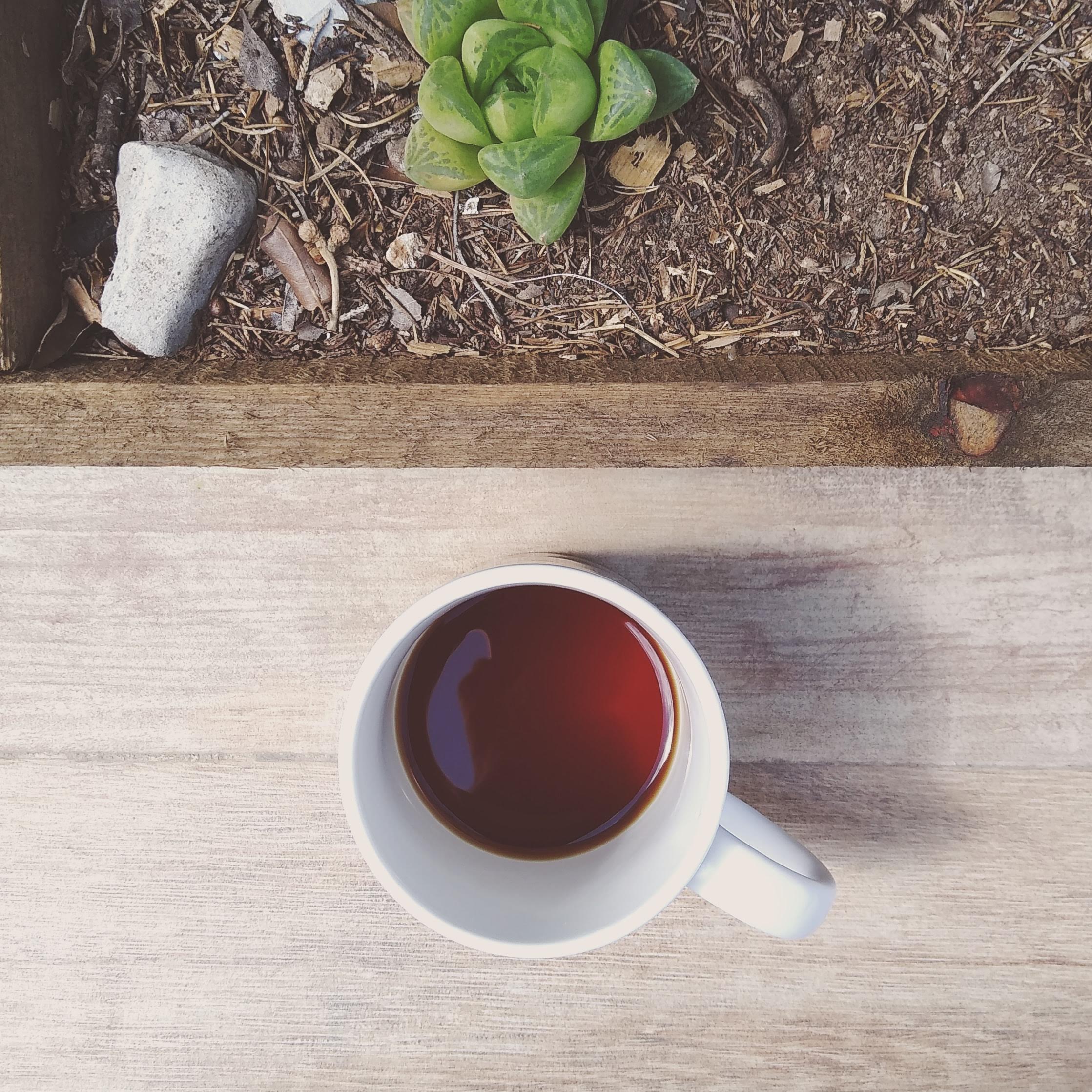 5 razones por las que el café mexicano artesanal supera al comercial