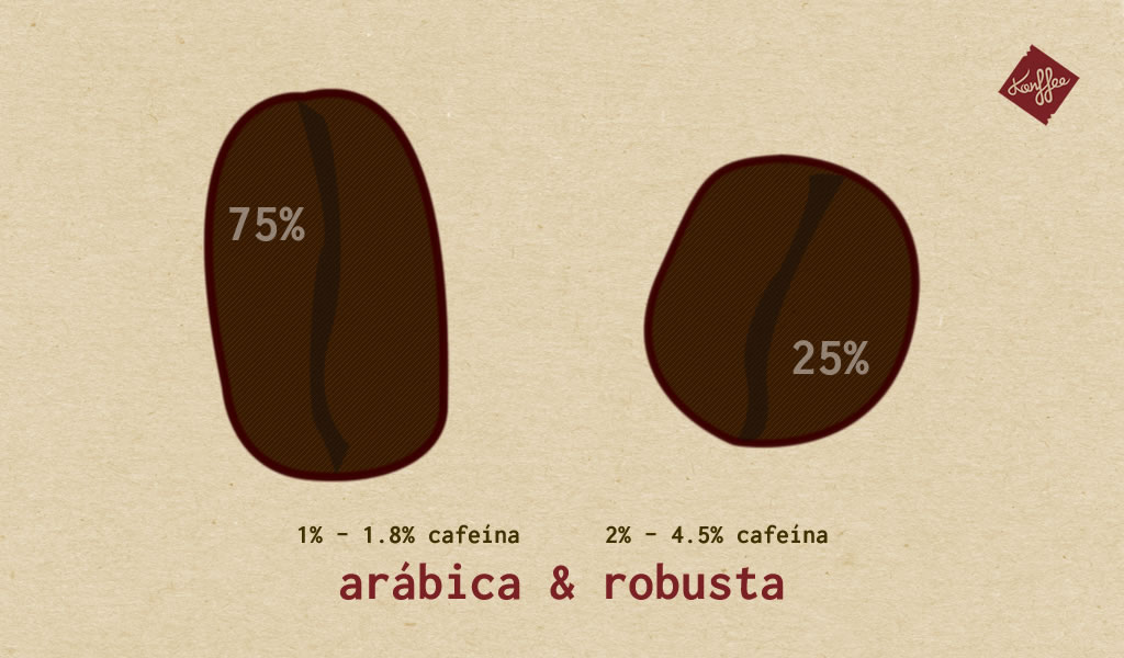 Café arábica & robusta - Konffee - café por suscripción