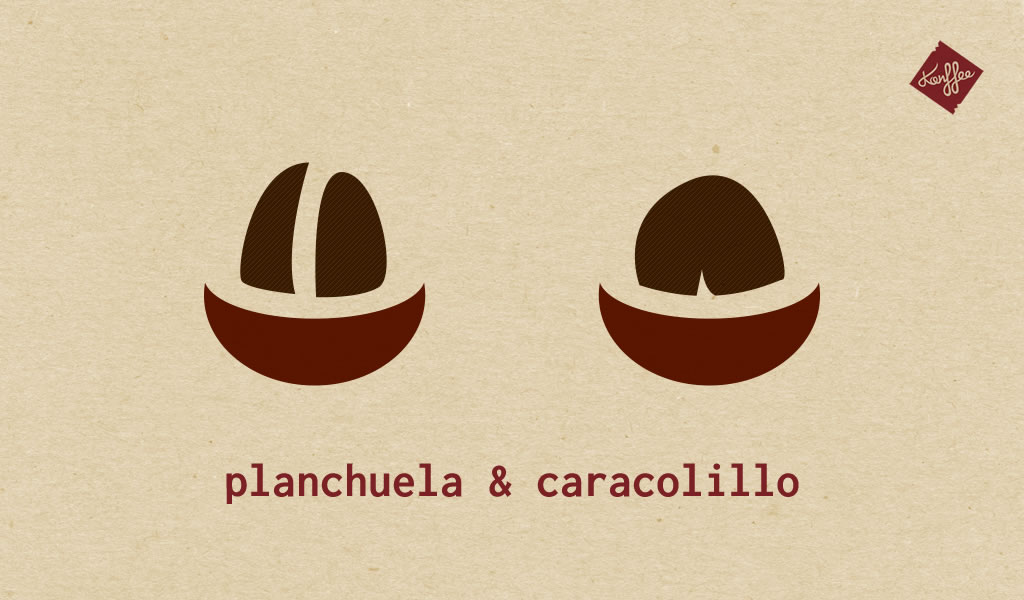Café caracolillo & planchuela - Konffee - café por suscripción